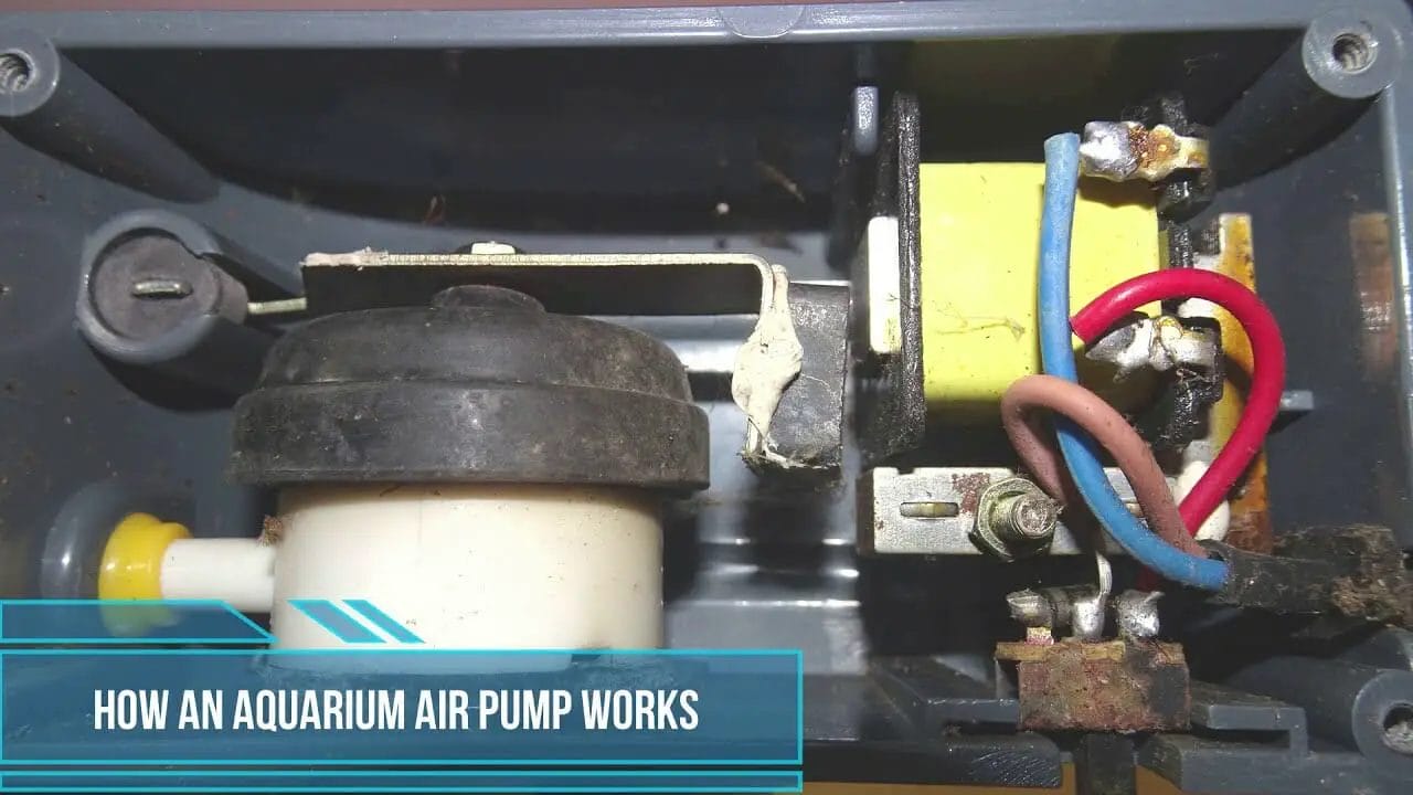 How Air Pump Works